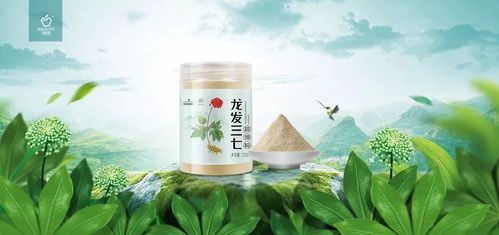 我们向往的理想生活究竟是什么 餐饮技术研发的答案