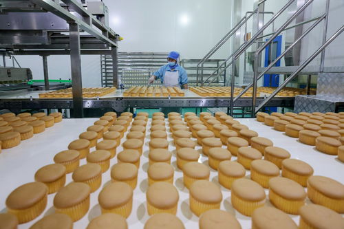 河北定兴 打造食品产业转型升级新标杆，引领餐饮技术研发新浪潮