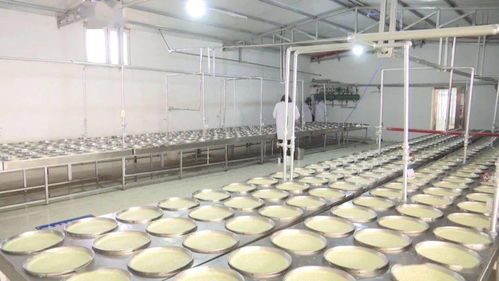 伟乐斯奶食品有限责任公司 传承和创新 双轨 并进